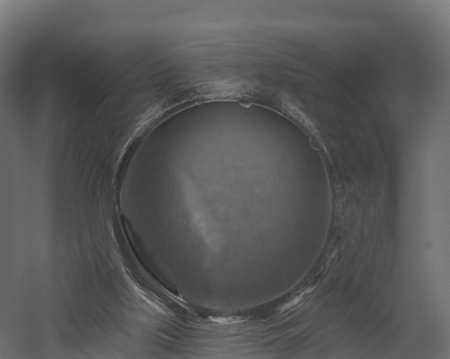 X0000057570059200509231236