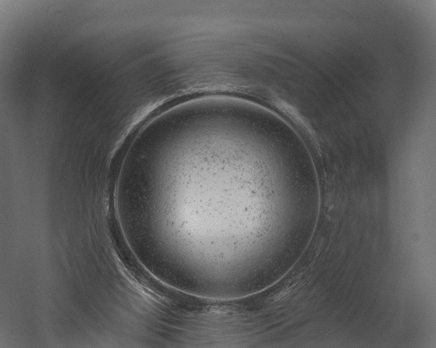 X0000057570060200509231236