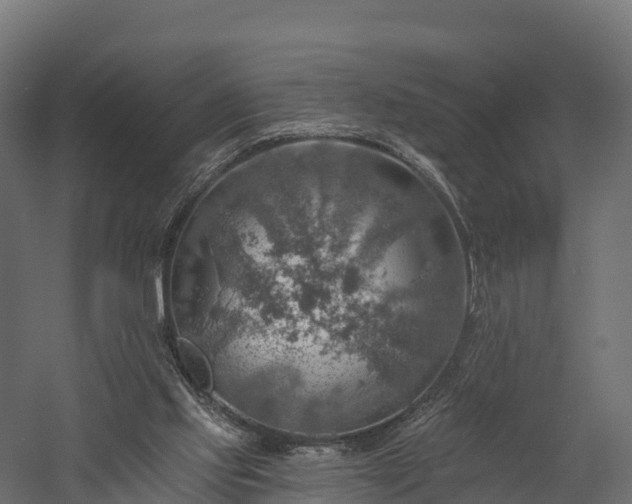 X0000057570061200509231236