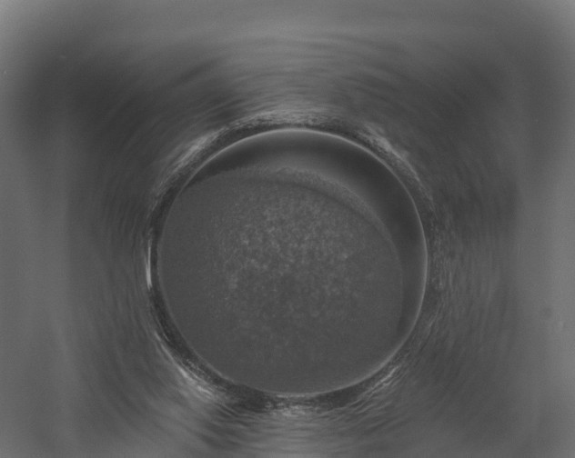 X0000057570062200509231236