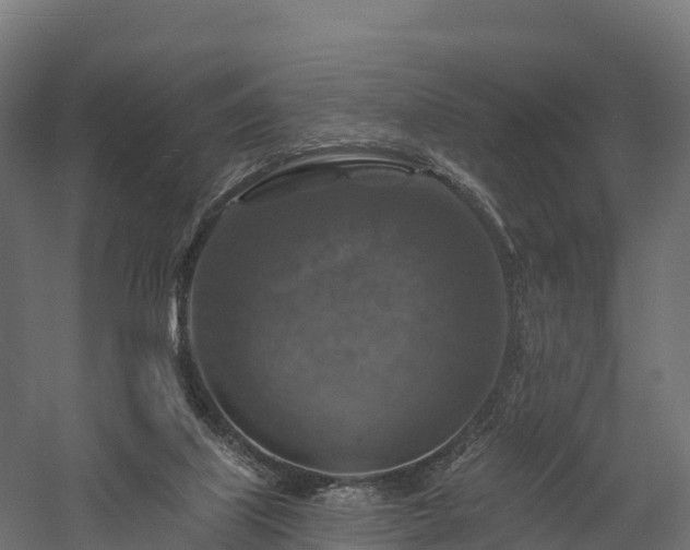 X0000057570067200509231236
