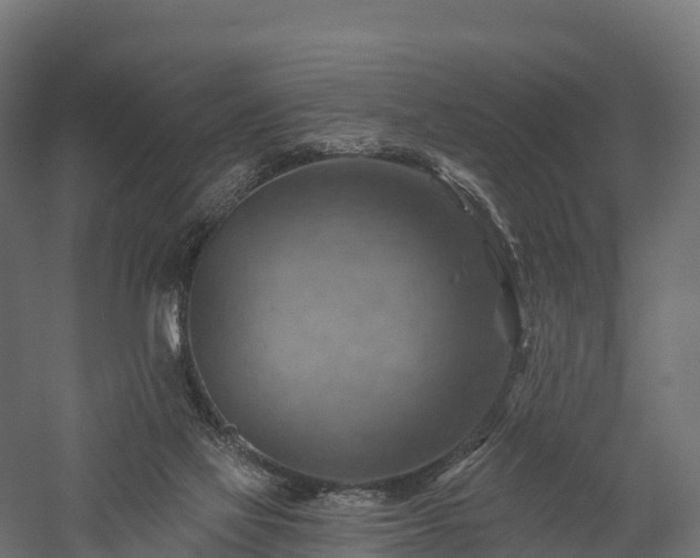 X0000057570069200509231236
