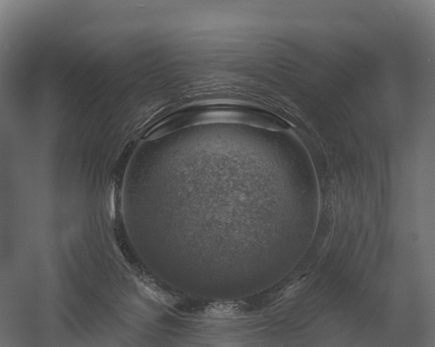 X0000057570076200509231236