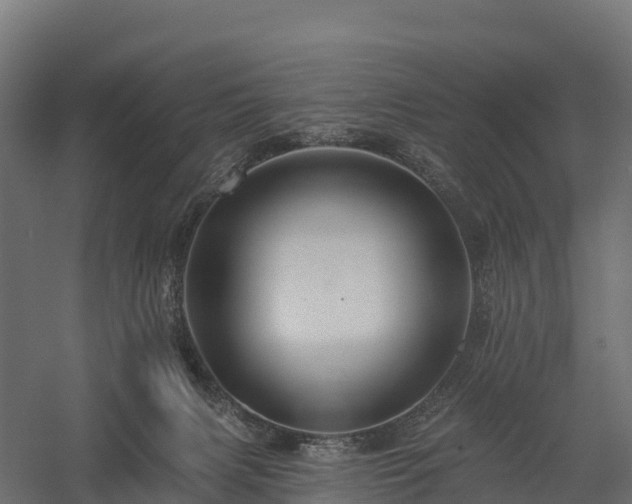 X0000057570079200509231236