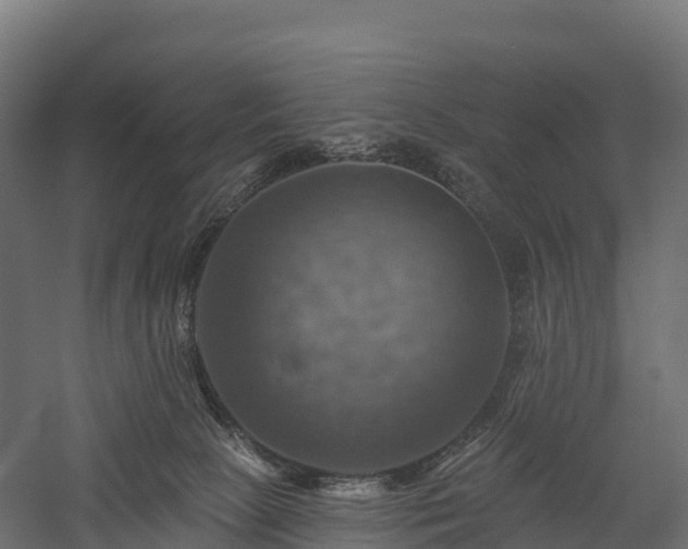 X0000057570081200509231236