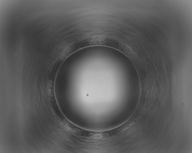 X0000057570083200509231236