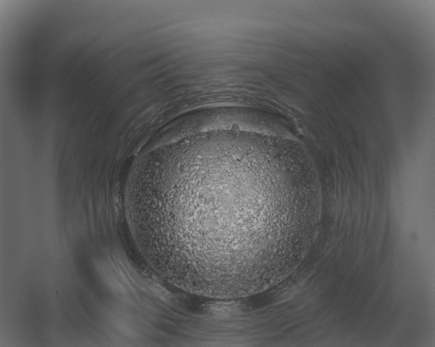 X0000057570085200509231237