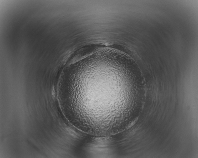 X0000057570089200509231237