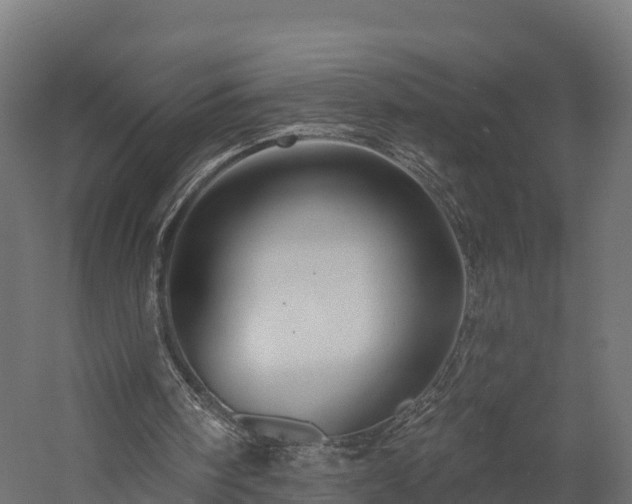 X0000057570098200509231236