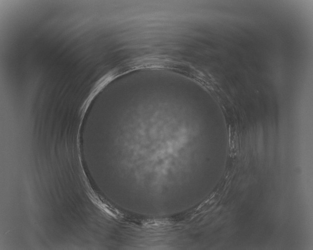 X0000057570099200509231236