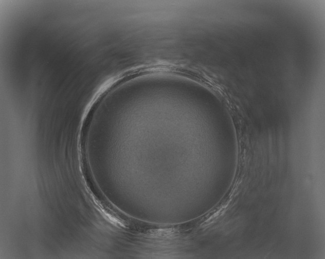X0000057570102200509231236