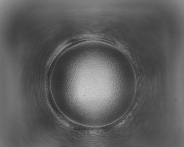 X0000057570103200509231236