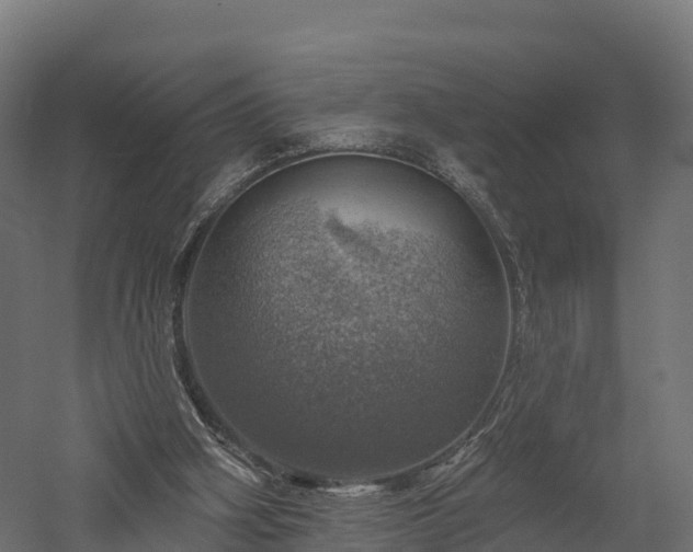 X0000057570106200509231236