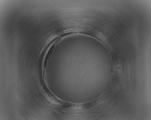 X0000057570110200509231236