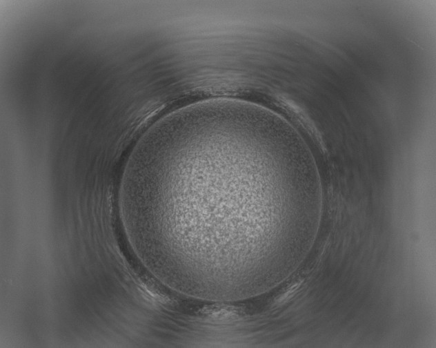 X0000057570113200509231236