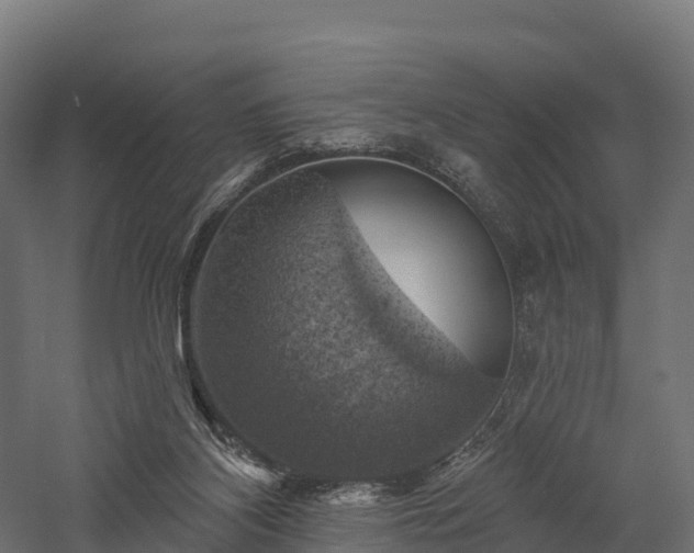X0000057570116200509231236