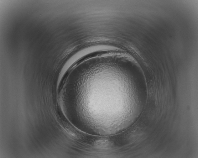 X0000057570119200509231236