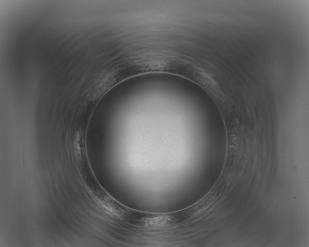 X0000057570122200509231235