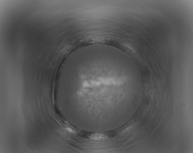 X0000057570123200509231235