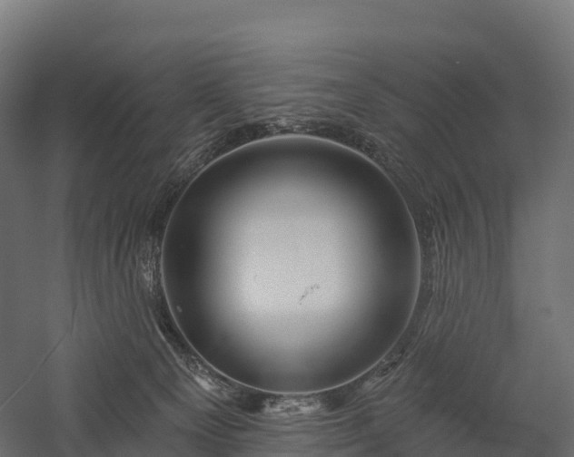 X0000057570129200509231235