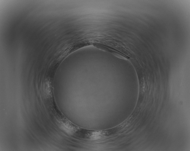 X0000057570130200509231235