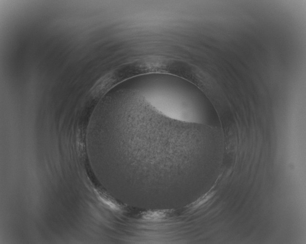 X0000057570140200509231235