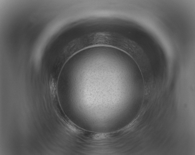 X0000057570142200509231235