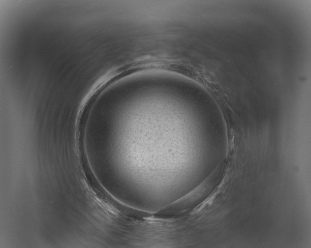X0000057570150200509231234