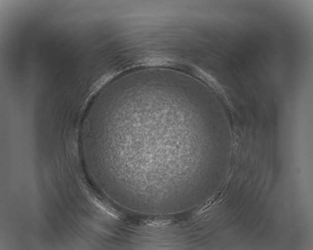 X0000057570155200509231234