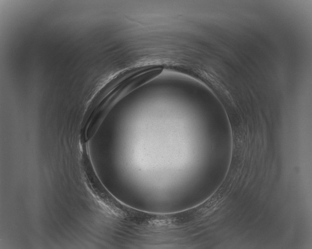 X0000057570160200509231235