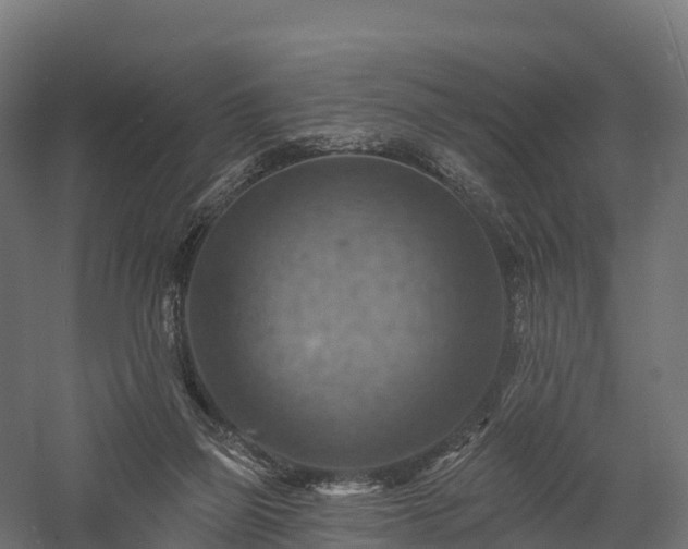X0000057570165200509231235