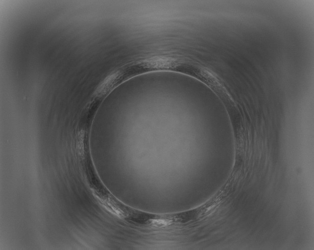 X0000057570167200509231235