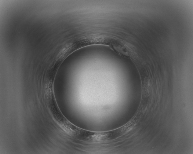 X0000057570172200509231235