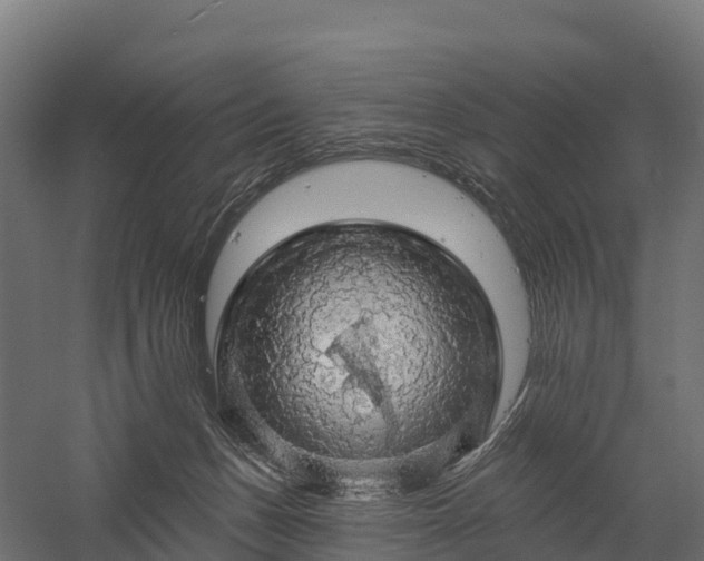 X0000057570175200509231235