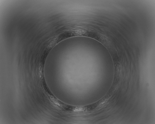 X0000057570177200509231235