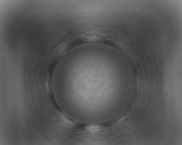 X0000057570181200509231235