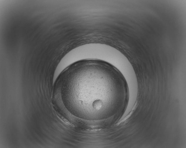 X0000057570186200509231235