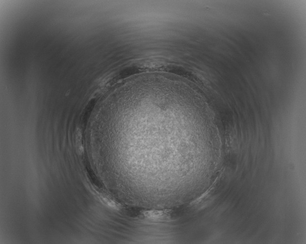 X0000057570187200509231235