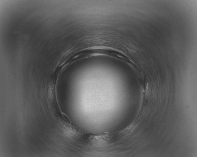X0000057570188200509231235