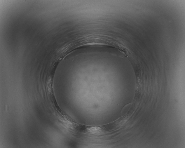 X0000057570189200509231235
