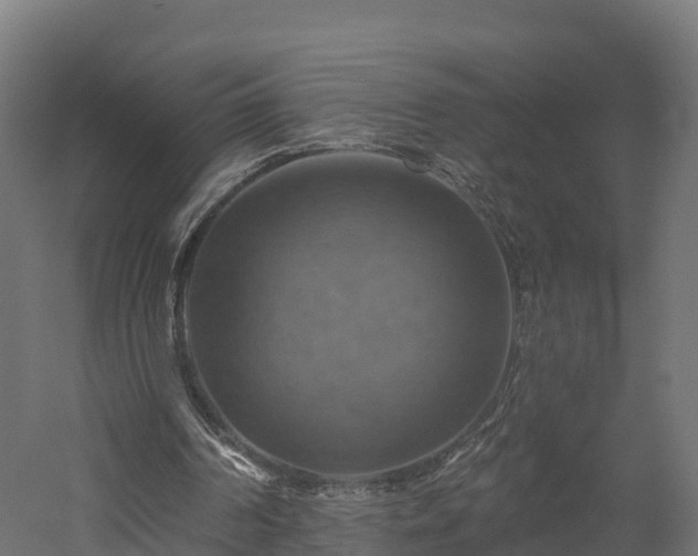 X0000057570194200509231234