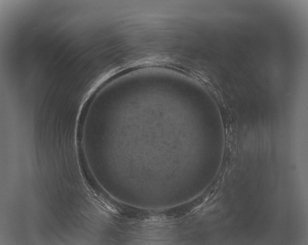 X0000057570196200509231234