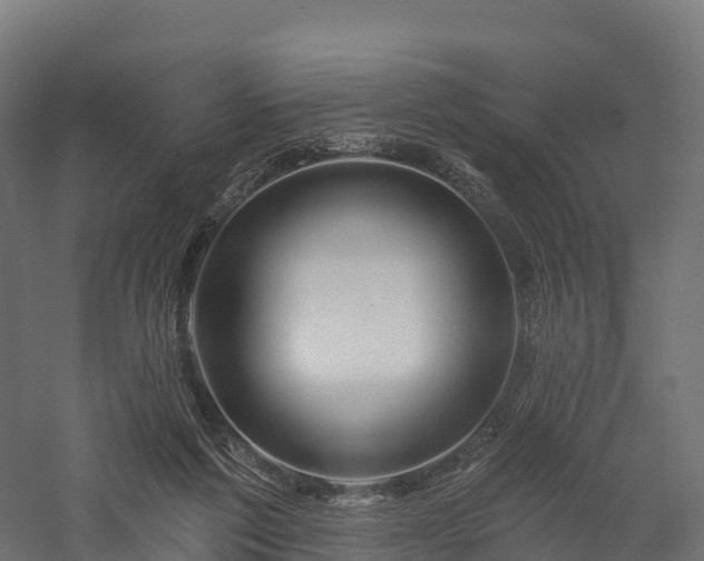 X0000057570213200509231234