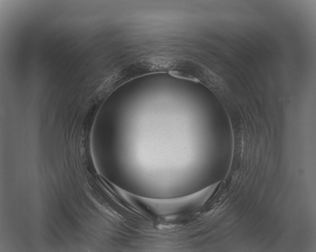 X0000057570215200509231234