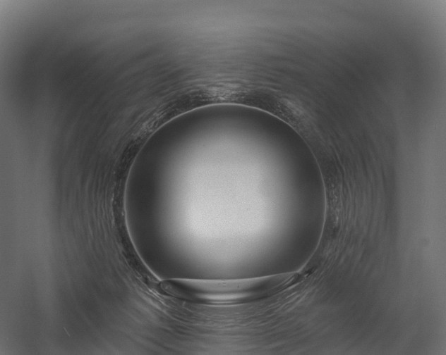 X0000057570221200509231234