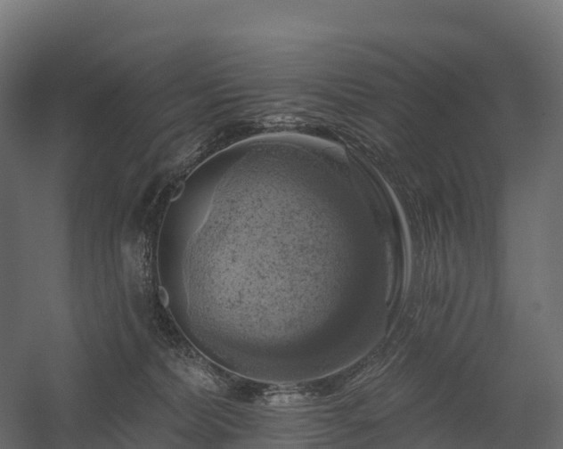 X0000057570228200509231234