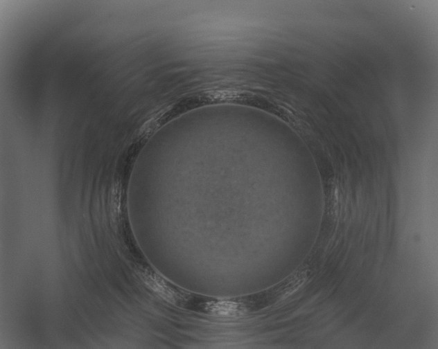 X0000057570230200509231234