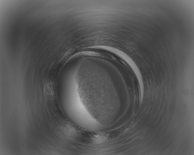 X0000057570232200509231234
