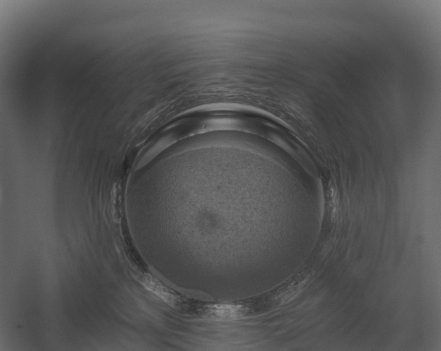 X0000057570233200509231234