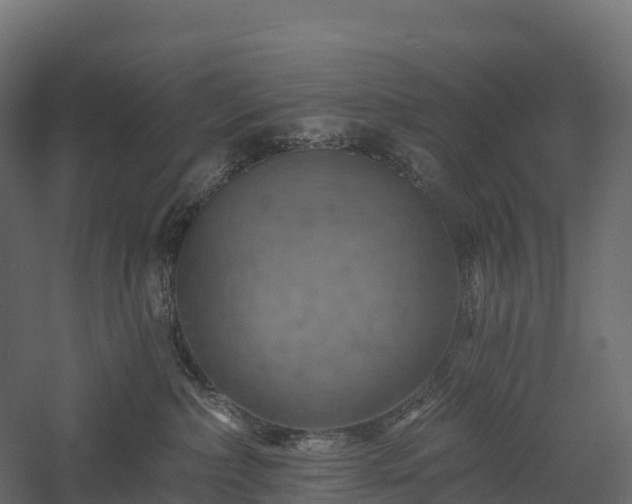 X0000057570236200509231234